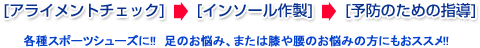 [�A���C�����g�`�F�b�N] [�C���\�[���쐻] [�\�h�̂��߂̎w��]
�e��X�|�[�c�V���[�Y��!!�@���̂��Y�݁A�܂��͕G�⍘�̂��Y�݂̕��ɂ����X�X��!!