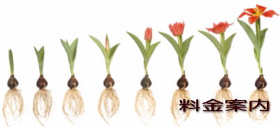 �����ē�